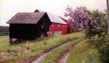 Farm Photo